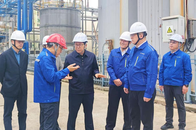 2e3133585bd84031bad8f9cfbf77a30e