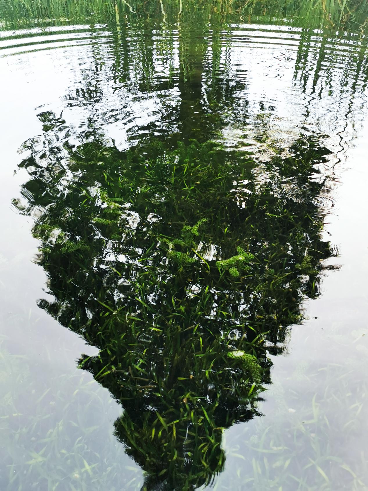 k��Ǯ���ٷ���վ - KDpayǮ��