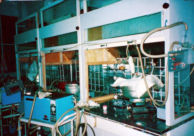 k��Ǯ���ٷ���վ - KDpayǮ��