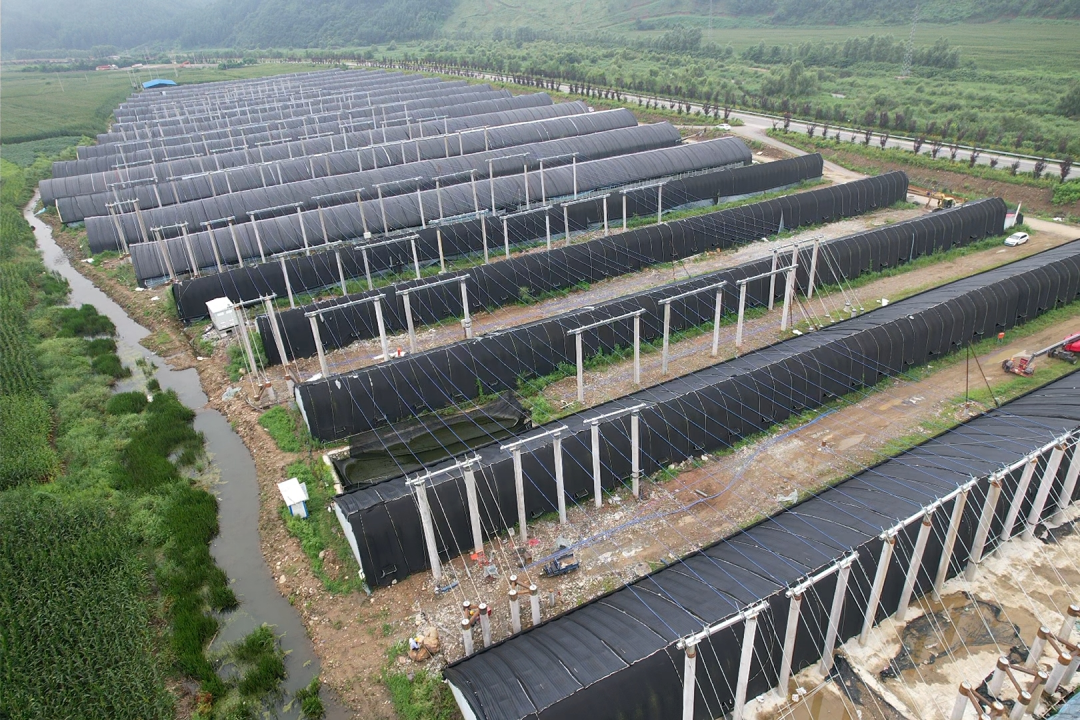 k豆钱包官方网站 - KDpay钱包