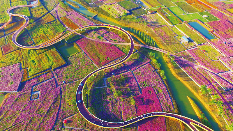 江苏宿迁三台山丛林公园生态游览项目