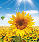 k豆钱包官方网站 - KDpay钱包