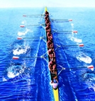 k豆钱包官方网站 - KDpay钱包